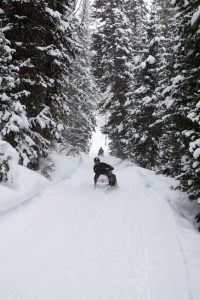 Snowmobilers in falling snow follow a beautiful trail on a vacation in the Rocky Mountains.